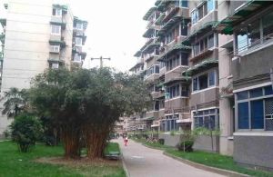 安庆苑 2室2厅 南