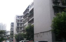武侯祠横街8号2室1厅东南