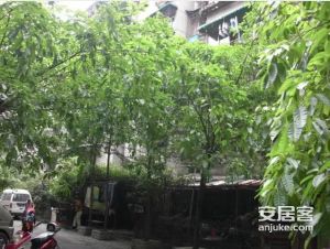 蜀汉路76号3室1厅东南