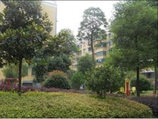 广天绿城花园3室2厅南