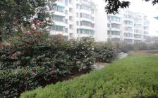 地段好,环境好,配套设施齐全,生活方便,交通便利。