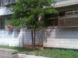 南宁小区 3室2厅 南 北