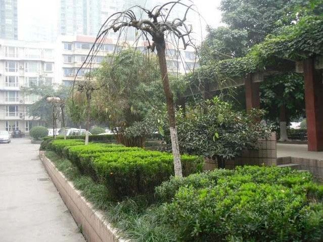小区相关图