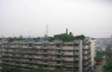 九里教师苑2室2厅南