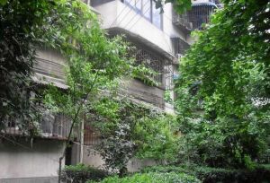 清江东路360号3室1厅南