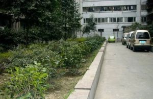 清江东路360号2室1厅东南