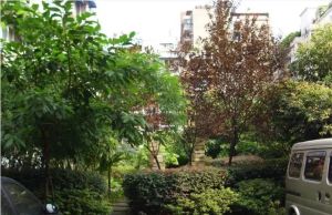 东景苑 2室2厅 东南