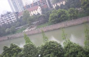 星辉中路20号 3室2厅 东南