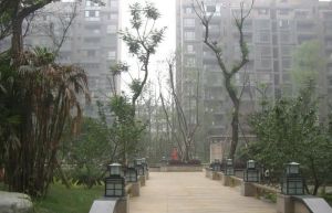 中大君悦金沙三期 2室2厅 西南 东北