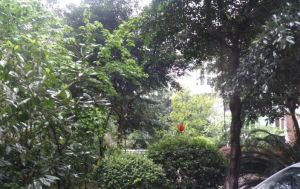 沙河怡苑3室1厅东