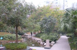 银杏苑(双流)3室2厅南