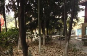 通惠门路25号2室1厅南东南