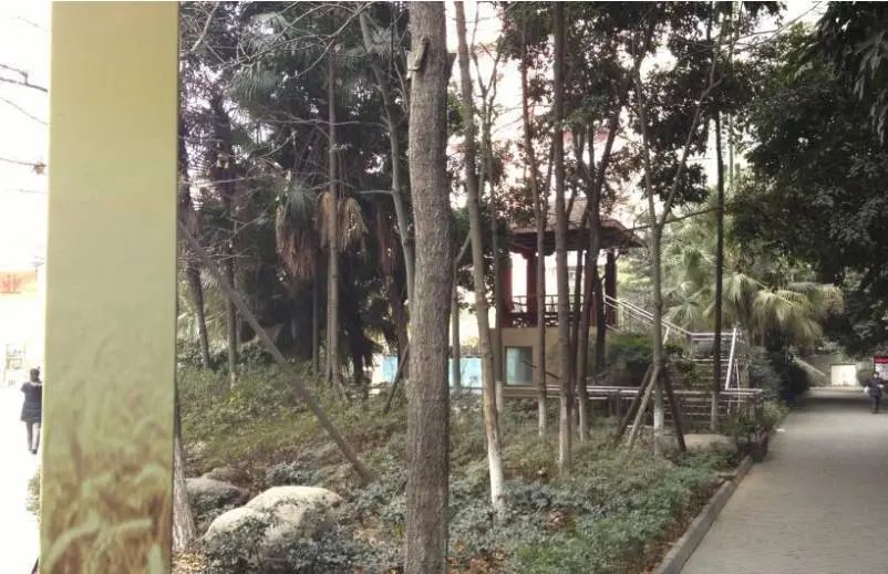 小区相关图