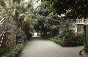 通惠门路25号2室1厅南北
