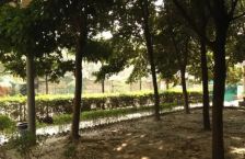 通惠门路25号1室1厅南