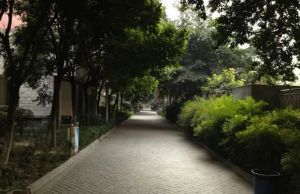 通惠门路25号1室0厅南