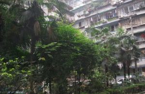 华油路29号2室1厅西南