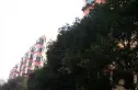 黄金苑实景图