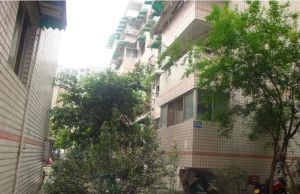 顺江小区一期1室1厅东