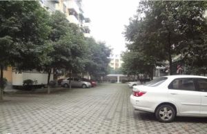 天骄苑1室1厅东南