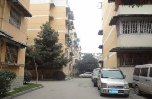 顺江小区二期3室1厅东南