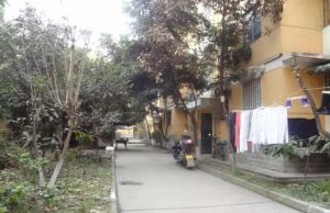 天骄苑1室1厅东南