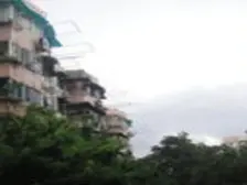 北宝兴路42弄小区1室南朝向330.00万元/套出售