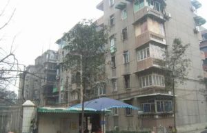 小学路新6号2室2厅南