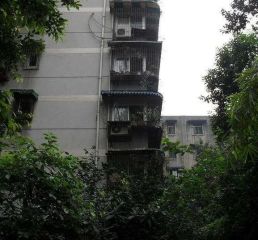 小学路新6号3室2厅南