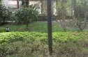 天涯石东街8号院实景图