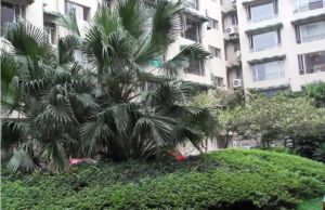 清江东路120号2室1厅南