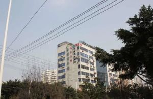 清江东路120号3室2厅东南