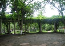 天府明珠花园 3室1厅 东 东南