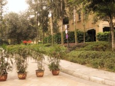 小区环境舒适,别墅小区环境,视野开阔