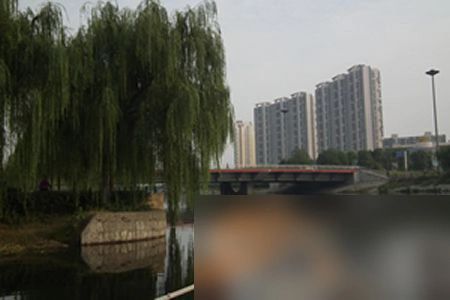 实景图