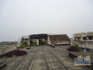 杜鹃园 3室2厅 东南