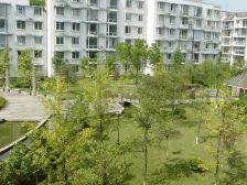 玉垒名居3室1厅西南