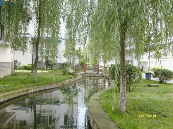 都江堰玉垒名居实景图