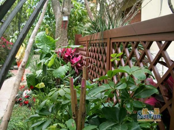 龙湖小院青城实景图