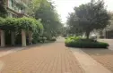 雍景豪园醇品实景图