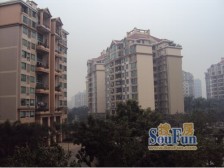 雅居乐~联排双拼别墅 业主诚心出售 看房提前预约