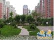 长桥小区实景图