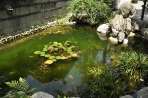 浣花院子4室2厅南北