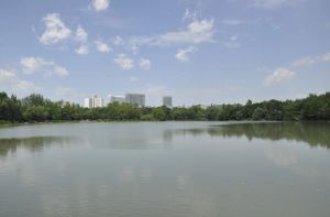 浣花院子5室3厅南