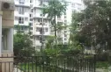 郫县东大街小区实景图