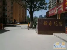 新乐花园(B区) 2室1厅 南