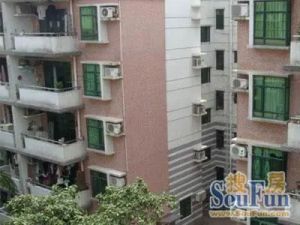 棕南西街4号3室1厅东南