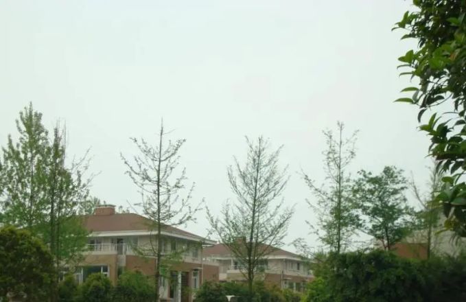 西江紫园实景图