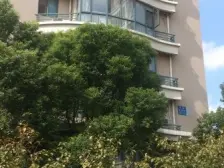 凤凰莱茵苑,小户型,精装修,楼层好,采光好!