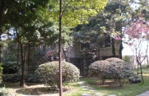 青城皓庭3室2厅东南